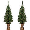 Northlight Set of 2 Pre-Lit Potted Porch Pine Topiary Slim Artificial Christmas Trees 4' - Clear Lights Image 1