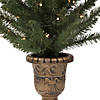 Northlight Set of 2 Pre-Lit Potted Porch Pine Topiary Slim Artificial Christmas Trees 4' - Clear Lights Image 4