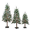 Northlight Set of 3 Flocked Alpine Artificial Christmas Trees 5' - Unlit Image 1