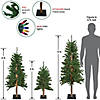 Northlight Set of 3 Pre-Lit Slim Alpine Artificial Christmas Trees 5' - Multicolor Lights Image 1