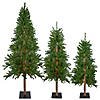 Northlight Set of 3 Pre-Lit Slim Alpine Artificial Christmas Trees 6' - Clear Lights Image 1