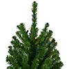 Northlight Set of 3 Pre-Lit Slim Alpine Artificial Christmas Trees 6' - Clear Lights Image 2