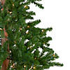 Northlight Set of 3 Pre-Lit Slim Alpine Artificial Christmas Trees 6' - Clear Lights Image 3