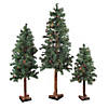 Northlight Set of 3 Pre-Lit Slim Woodland Alpine Artificial Christmas Trees 5' - Multicolor Lights Image 1