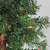 Northlight Set of 3 Pre-Lit Slim Woodland Alpine Artificial Christmas Trees 5' - Multicolor Lights Image 1