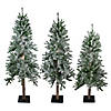 Northlight Set of 3 Slim Flocked Alpine Artificial Christmas Trees 6' - Unlit Image 1