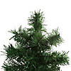 Northlight Set of 3 Slim Woodland Alpine Artificial Christmas Trees 5' - Unlit Image 3