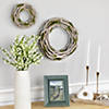 Northlight twig and moss white artificial spring wreath - 14-inch  unlit Image 1