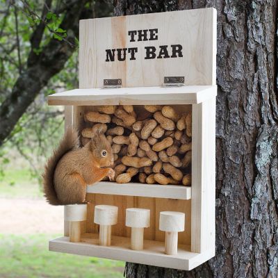 Nut Bar Squirrel Feeder, Funny Bar Stool Outdoor Squirrel Feeder Image 1