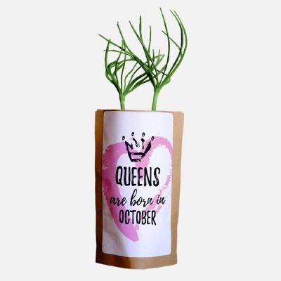 October Queen Design - 10 Trees - ForestNation - 1oz Tree Kit Pouch Image 1