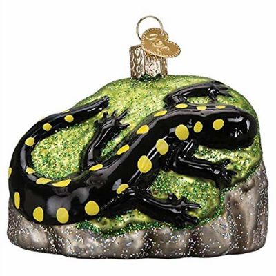 Old World Christmas 12561 Glass Blown Salamander Ornament Image 1