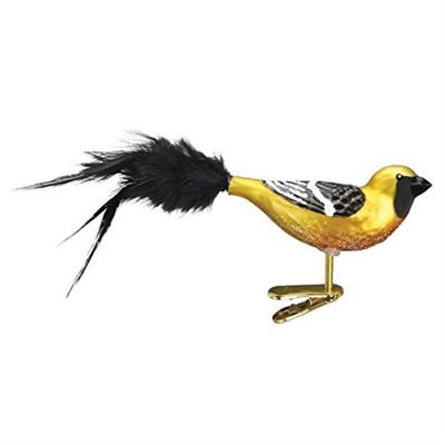 Old World Christmas Bird Watcher Collection- Glass Blown Ornament Hooded Oriole Image 1