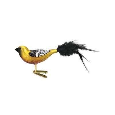 Old World Christmas Bird Watcher Collection- Glass Blown Ornament Hooded Oriole Image 1
