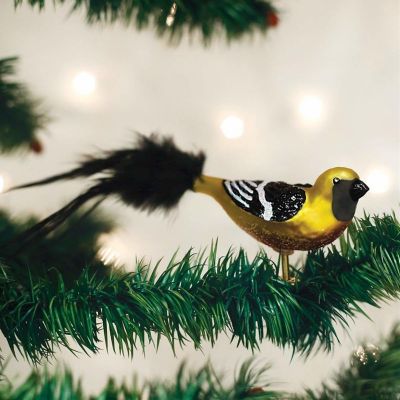 Old World Christmas Bird Watcher Collection- Glass Blown Ornament Hooded Oriole Image 3