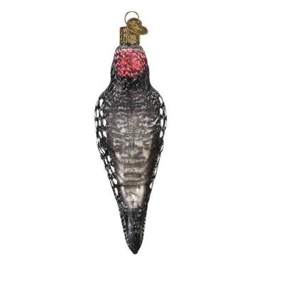 Old World Christmas Vintage Hairy Woodpecker Glass Ornament FREE BOX 51004 New Image 1