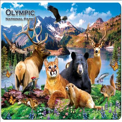 Olympic National Park 48 Piece Tray Puzzle Image 1