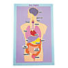 Organs of the Human Body Giant Sticker Scenes - 12 Pc. Image 1