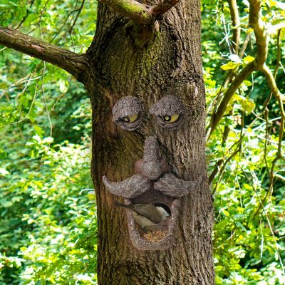 Ornativity Tree Face Bird Feeder - Old Man Funny Faces Outdoor Decorative Birdfeeder with Glow in the Dark Eyes for Spooky Garden Decor Image 2