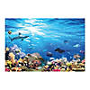 Outback VBS Reef Backdrop Image 1