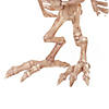 Owl Skeleton Decoration Image 1