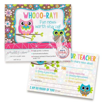 Owl Teacher Mail for Students by AmandaCreation 30ct Image 1