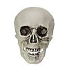 Pack of 6 Skull Head Halloween Decorations 3.5" Image 1