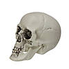 Pack of 6 Skull Head Halloween Decorations 3.5" Image 2