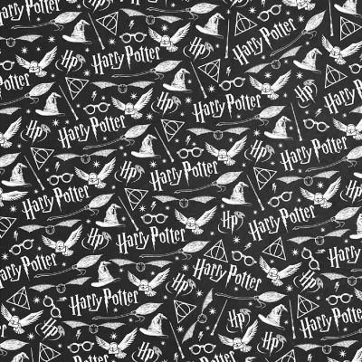 Paper House Harry Potter Double-Sided Cardstock 12&quot;X12&quot;-Harry Potter Pattern Image 1