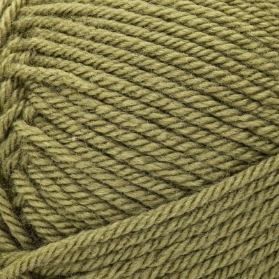 Patons Canadiana Yarn - Solids-Moss Image 2