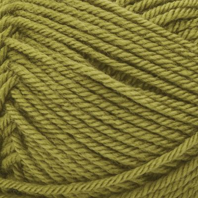 Patons Canadiana Yarn - Solids-Spring Green Image 1