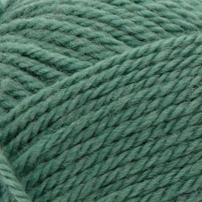 Patons Classic Wool Yarn-Rich Grass Image 1