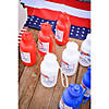 Patriotic BPA-Free Plastic Water Bottles - 12 Pc. Image 1
