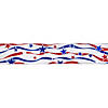 Patriotic Stars and Stripes Wired Craft Ribbon 2.5" x 10 Yards Image 1