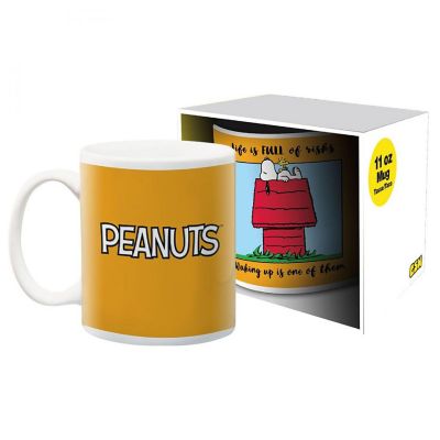 Peanuts Life Full of Risks 11 Ounce Ceramic Mug Image 1