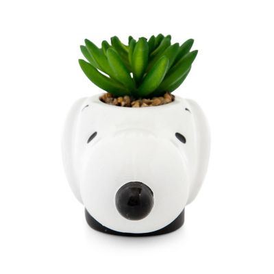 Peanuts Snoopy Face Ceramic Mini Planter with Artificial Succulent  3.5"L x 5" H x 5" W Image 2