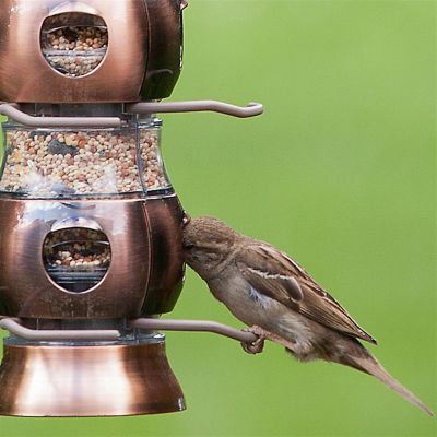 Perky-Pet 112-4 Select-A-Bird Tube Feeder with Copper Finish Image 3