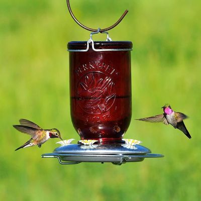 Perky-Pet #786 Red Mason Jar Glass Hummingbird Feeder, 32oz Capacity Image 1