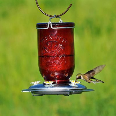 Perky-Pet #786 Red Mason Jar Glass Hummingbird Feeder, 32oz Capacity Image 2