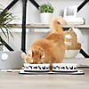 Pet Bowl Cats Meow Large 7.5Dx2.4H (Set Of 2) Image 2