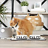 Pet Bowl Cats Meow Medium 6Dx2H (Set Of 2) Image 2