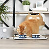 Pet Bowl Cats Meow Navy Small 4.25Dx2H (Set Of 2) Image 2