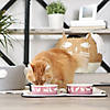 Pet Bowl Cats Meow Rose Medium 6Dx2H (Set Of 2) Image 2