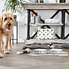 Pet Bowl Dog Show Gray Large 7.5Dx2.4H (Set Of 2) Image 2
