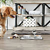 Pet Bowl Dog Show Gray Medium 6Dx2H (Set Of 2) Image 2