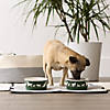 Pet Bowl Dog Show Hunter Green Small 4.25Dx2H (Set Of 2) Image 2