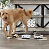 Pet Bowl Dog Show Large 7.5Dx2.4H (Set Of 2) Image 2