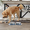 Pet Bowl Dog Show Navy Large 7.5Dx2.4H (Set Of 2) Image 2