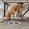 Pet Bowl Dog Show Navy Medium 6Dx2H (Set Of 2) Image 2
