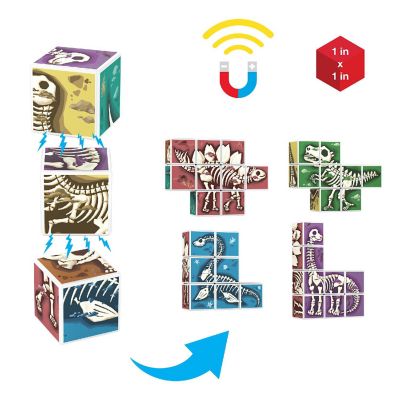 PicassoTiles 9 PC Magnetic Blocks Dinosaur Fossil Theme, Magnetic Building Blocks for Kids, Magnet Toy for Kids 3+ Image 3