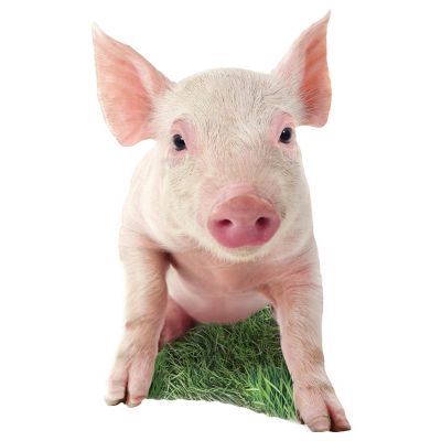Pig 100 Piece Shaped Jigsaw Puzzle Image 2